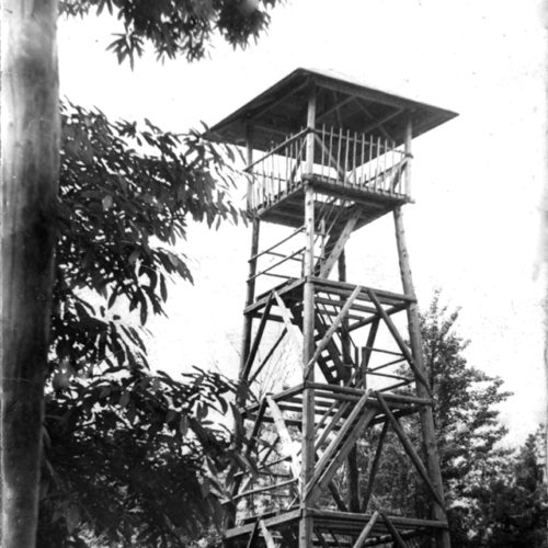 foto: Janez Janežič