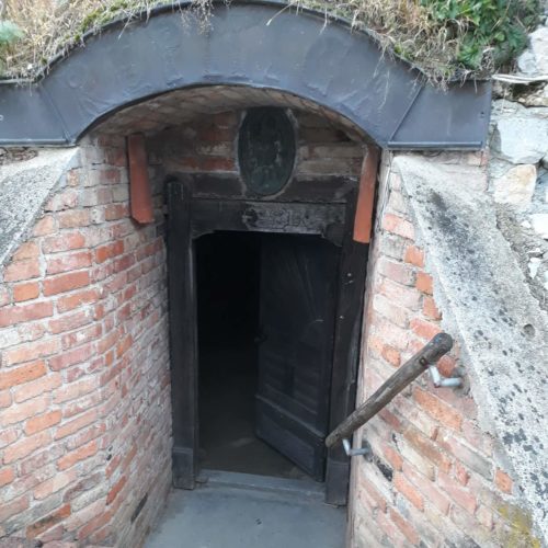 72119368_742777266187658_7766121209921536000_n