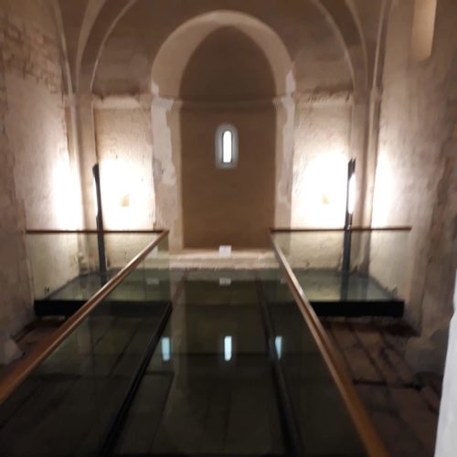 72230739_498472860736851_385005403898904576_n