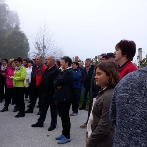 72285020_524428468343378_8761800023336812544_n