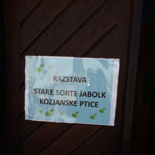 72303272_495794097944630_2683176519190183936_n