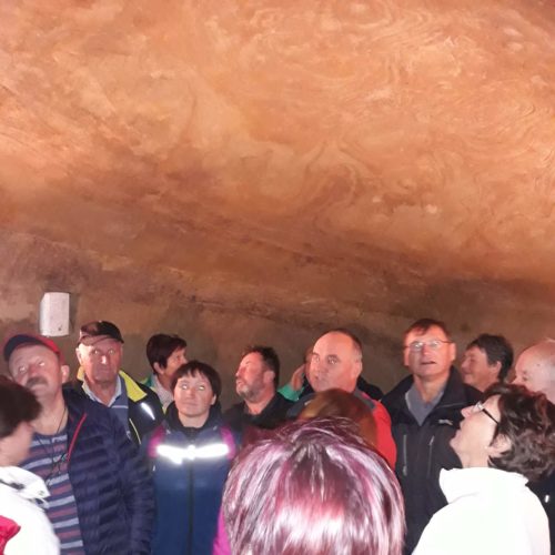 72393117_460393811486805_3529535258347175936_n