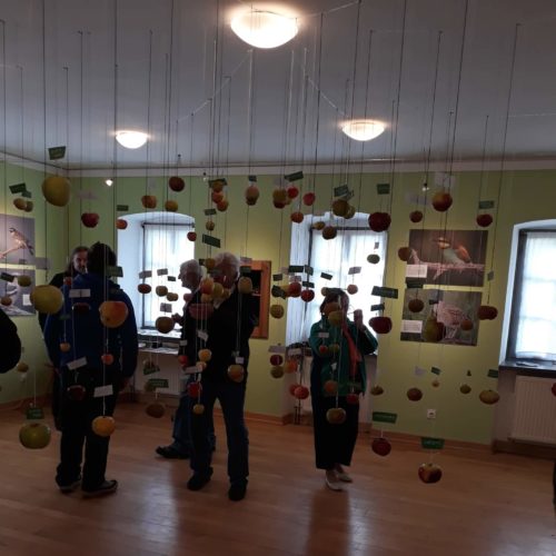 72483145_530177597547055_4351370726381453312_n