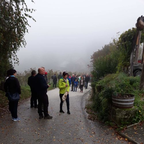 72760299_2304900059820320_7628285620514717696_n